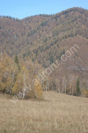 землю сельскохозяйственного назначения