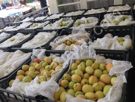 Абрикос Оптом