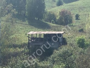 Два пруда расположенных поблизости