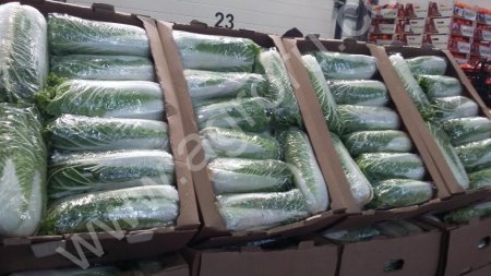 Капуста пекинская