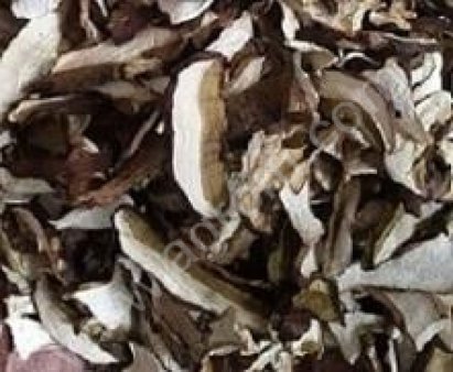 Белый гриб сушеный