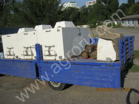 живой карп,амур, веслонос