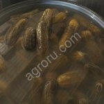 Огурцы солёные