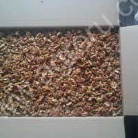 Ядро грецкого ореха