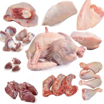 Мясо индейки оптом