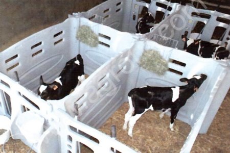 Боксы для телят модульные