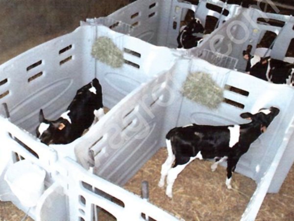 Боксы для телят модульные