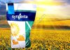 Гибриды семена подсолнечника Алькантара Сингента (Syngenta)