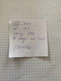 Рожь