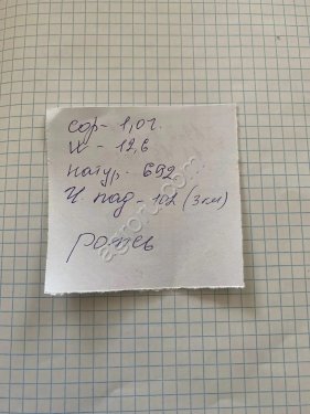 Рожь