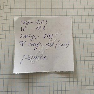 Рожь