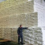 Сахар песок от завода оптом