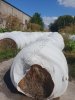 Сено в рулонах (урожай 2025), срочно!