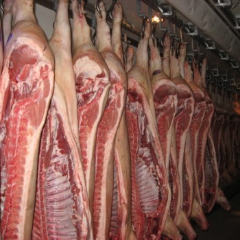 Цены на свинину в Германии обвалились из-за диоксинового скандала