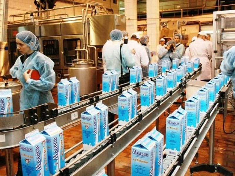 Краткий обзор рынка молока