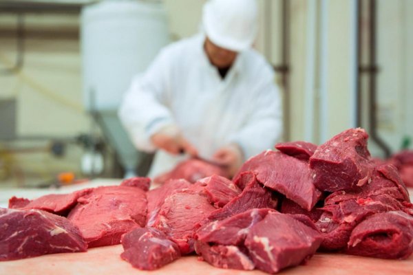 Краткий обзор рынка мяса