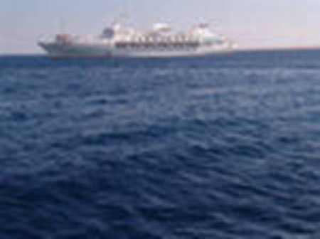 Алжир объявил новый тендер по закупке мукомольной пшеницы