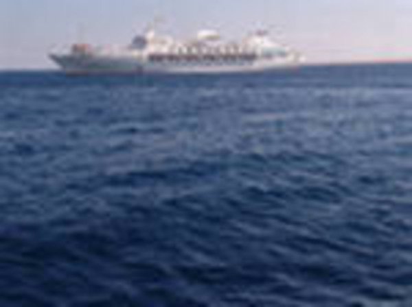 Алжир объявил новый тендер по закупке мукомольной пшеницы