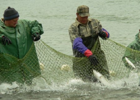 Пограничники предлагают часть улова выделять для личных нужд экипажа