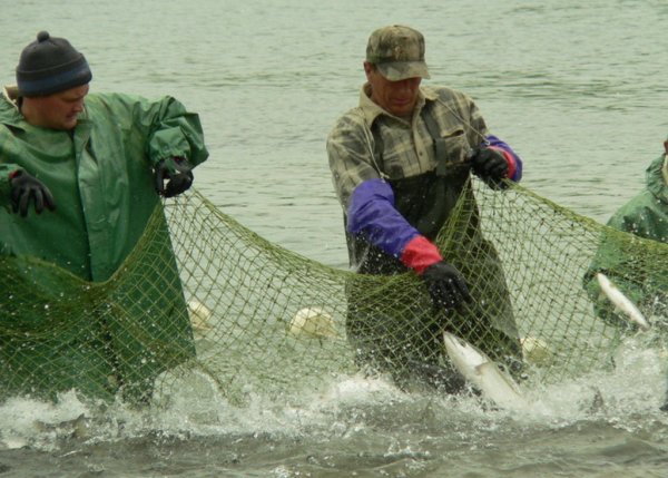 Пограничники предлагают часть улова выделять для личных нужд экипажа
