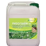 Биоинокулянты для сои и других бобовых культур