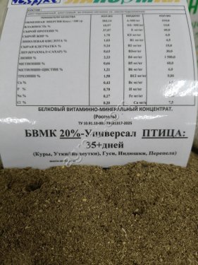 БВМК Поросята