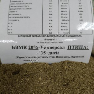 БВМК Поросята