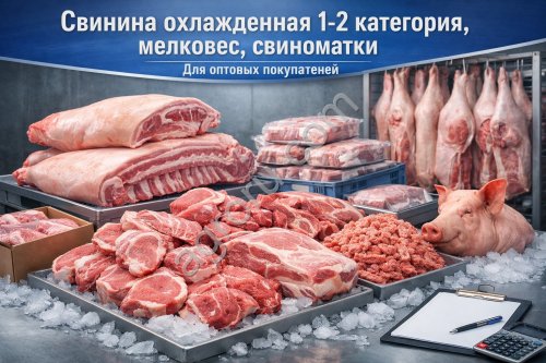 Свинина охлажденная 1-2 категория,мелковес,свиноматки.