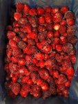 Замороженная Клубника Сербия