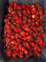 Замороженная Клубника Сербия