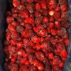 Замороженная Клубника Сербия
