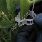 Клипсы 15 мм, держатель томатов/огурцов (200шт./уп)