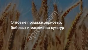 Растительные масла, зерно и корма  экспорт в 30+ стран