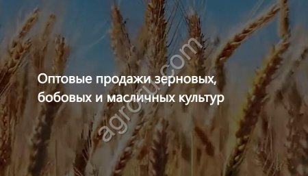 Растительные масла, зерно и корма  экспорт в 30+ стран