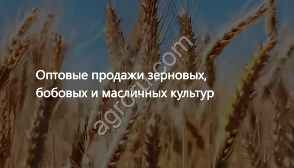 Растительные масла, зерно и корма  экспорт в 30+ стран