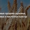 Растительные масла, зерно и корма экспорт в 30+ стран