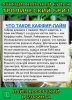 Функциональный купаж Тропический Бриз. Моринга и Каффрский лайм