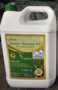 Ранголи-Галситил, КЭ