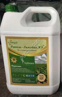 Ранголи-Галситил, КЭ