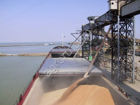 Пшеница 3 класс