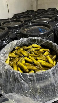 Соленый огурец