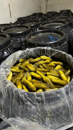 Соленый огурец