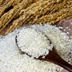 Крупа рисовая: рис шлифованный ТУ Эконом