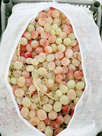 виноград оптом