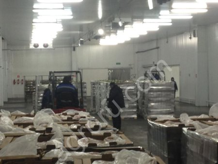 Тушки ЦБ охлаждённая и заморозка