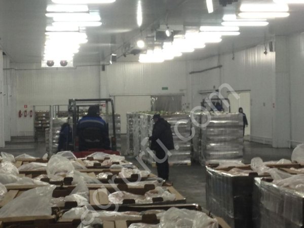 Тушки ЦБ охлаждённая и заморозка