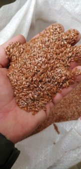 Лен коричневый.