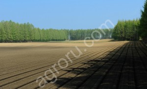ЗЕМЕЛЬНЫЕ УЧАСТКИ