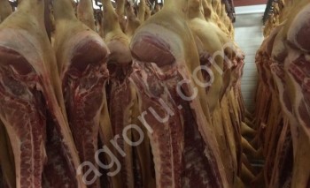 <span>мясо</span> свинина оптом от производителя