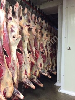 Говядина 1 кат. в п/т оптом